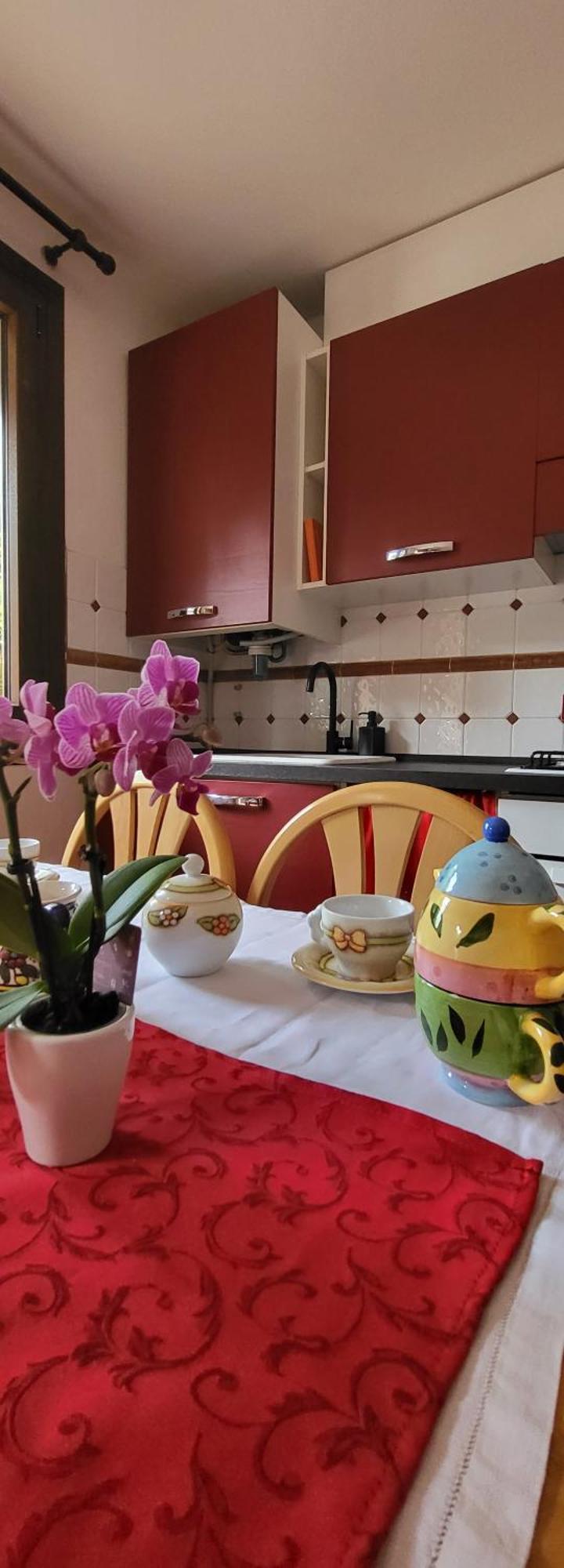 גוריציה Alfa Appartamento In Centro מראה חיצוני תמונה
